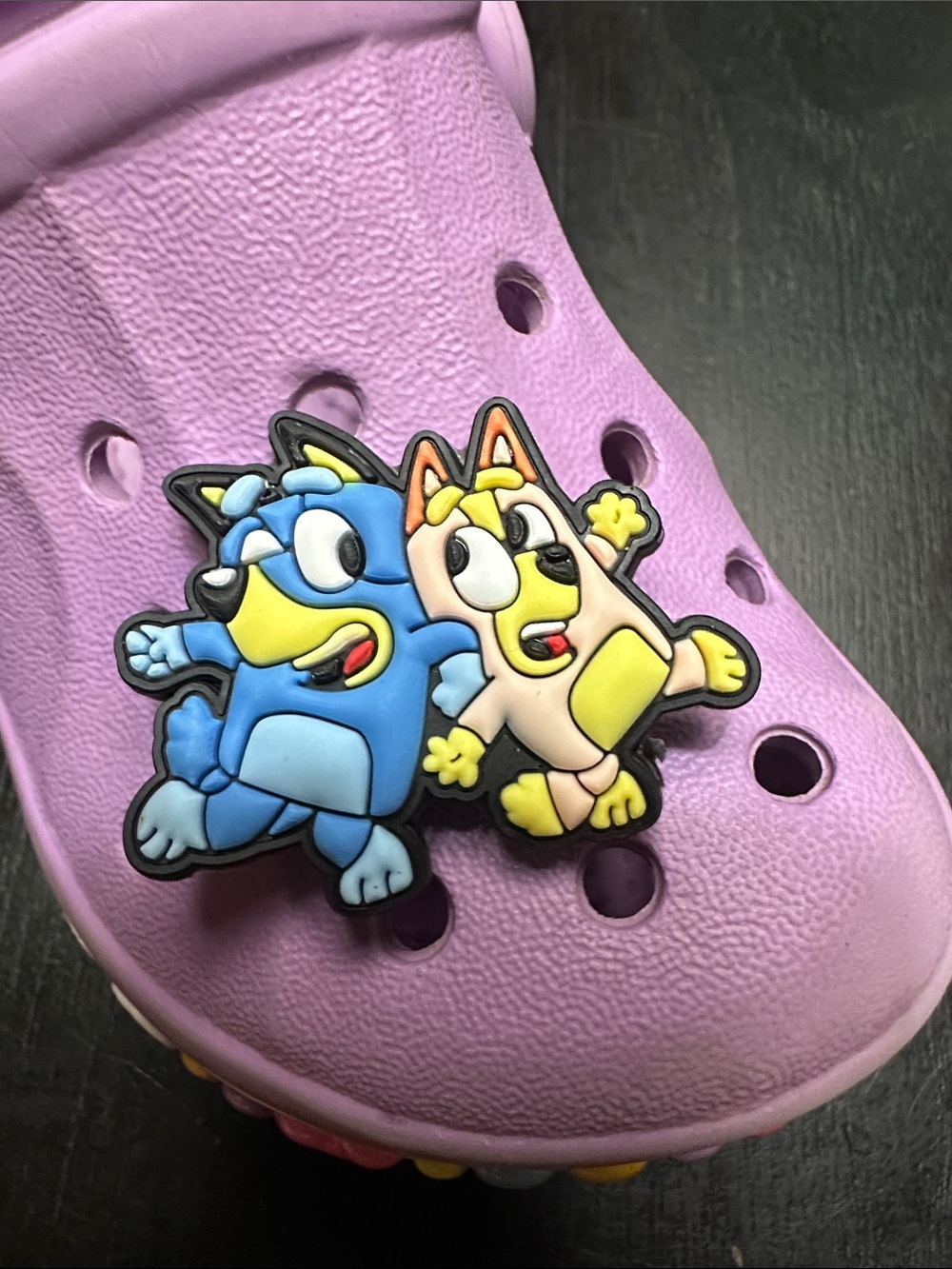 Kids BLUEY Cartoon Charms